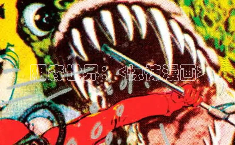 51漫画网官网免费